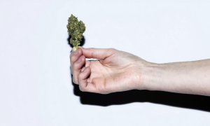 How much cannabis can you legally posses?