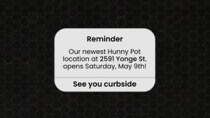 2591 Yonge Street Cannabis Dispensary Opening