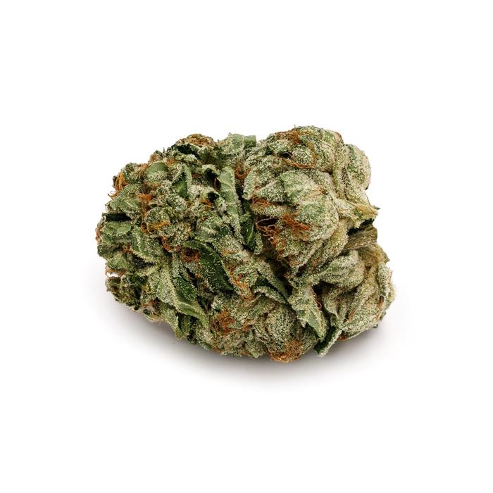 Strain 101: Pink Kush | Hunny Pot Cannabis
