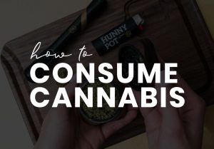 How to Consume Cannabis