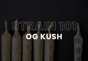 OG Kush Cannabis
