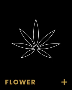 Dried Flower - Cannabis Products We Carry